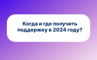 Когда и куда подавать заявку на господдержку в 2024 году?
