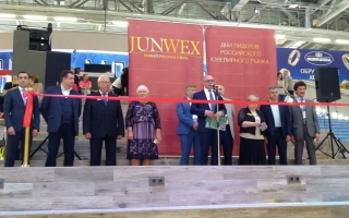 «JUNWEX Новый русский стиль»