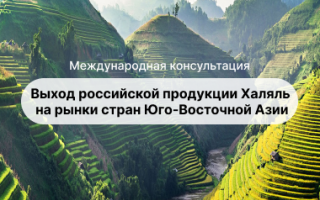 Международная консультация